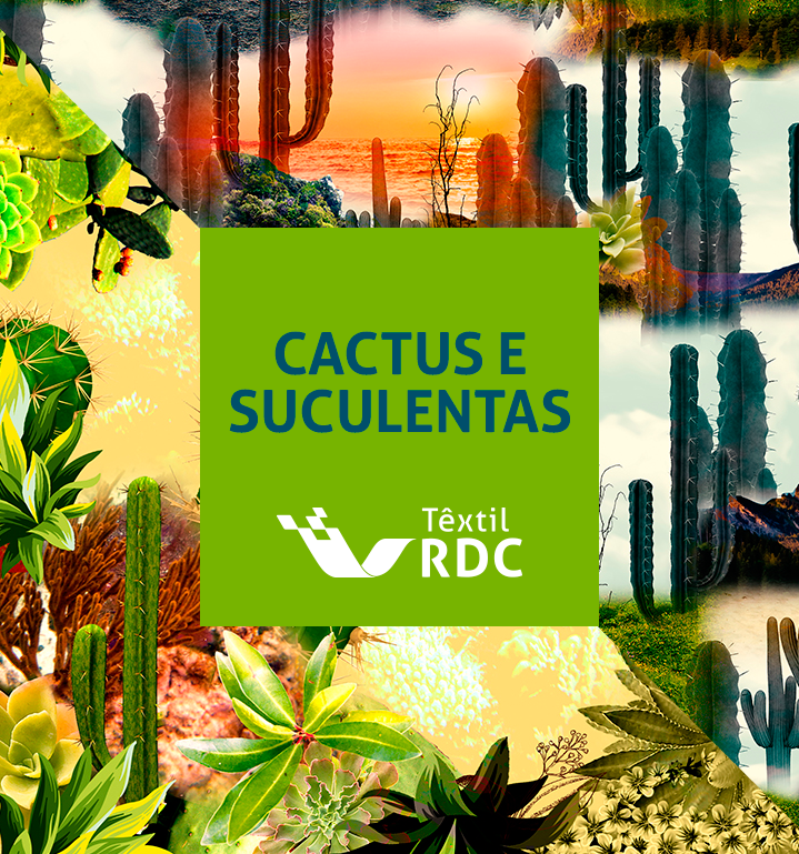Trend! Cactus e Suculentas!